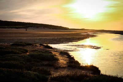Scenic view of beach against sky during sunset