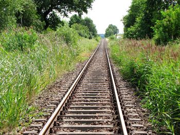 Railroad track in nature