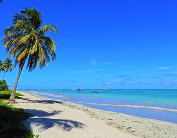 Scenic view of beach against blue sky