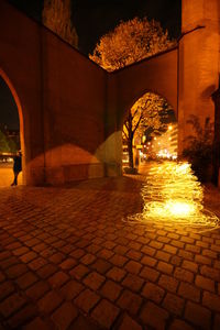 Illuminated bridge at night