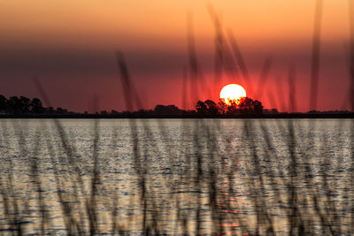 Scenic view of sunset