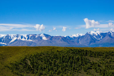 View of the north chuya ridge.