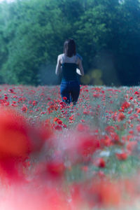 Rear view of woman on red flower