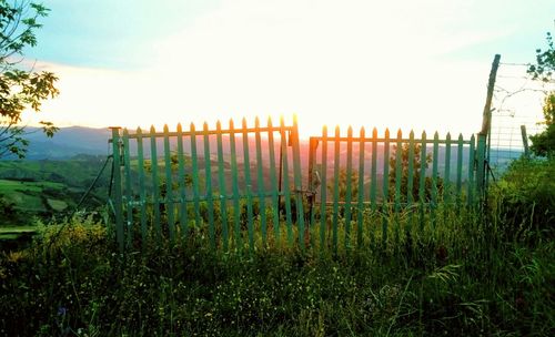 Wooden posts on field against sky during sunset