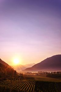 Scenic view of field against sky during sunset