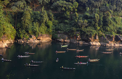 High angle view of boats in river amidst trees in forest
