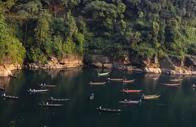 High angle view of boats in river amidst trees in forest