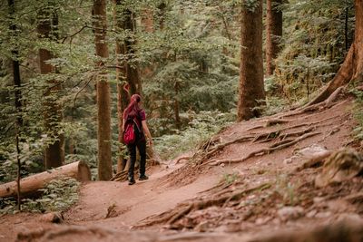 Man walking by trees in forest