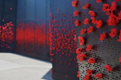Close up of red poppies on a memorial