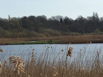 Scenic view of lake against clear sky