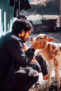 Close-up of man with cow calf outdoors