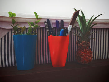 Plant with desk organizer and pineapple on table