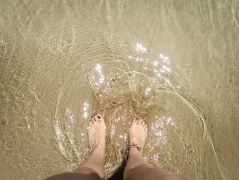 Low section of woman standing on beach