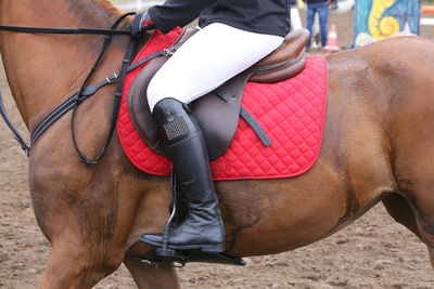 Midsection of man riding horse