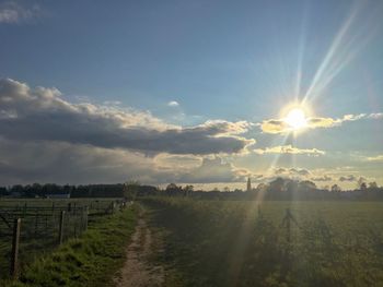 Scenic view of field against bright sun