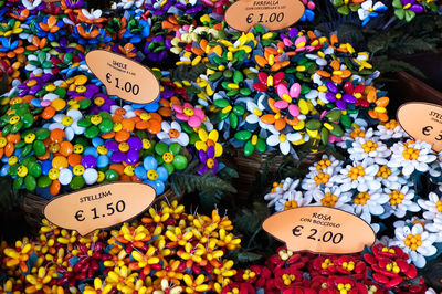 High angle view of various flowers for sale in market
