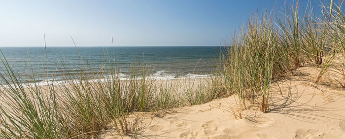 Scenic view of sea against clear sky