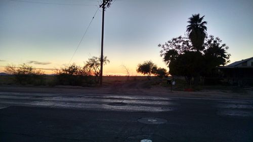 Silhouette of trees at sunset