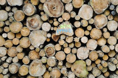 Full frame shot of logs in forest