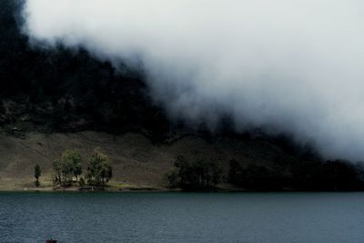 Scenic view of lake by trees against sky