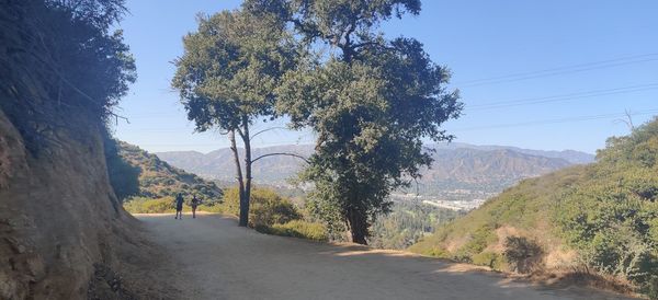 Road amidst trees against sky