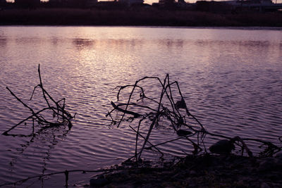 Scenic view of lake against sky at sunset