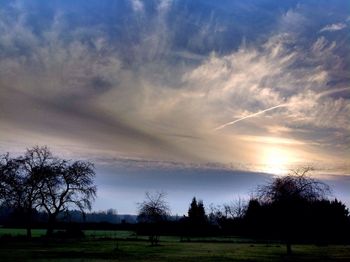 Silhouette trees on field against sky at sunset