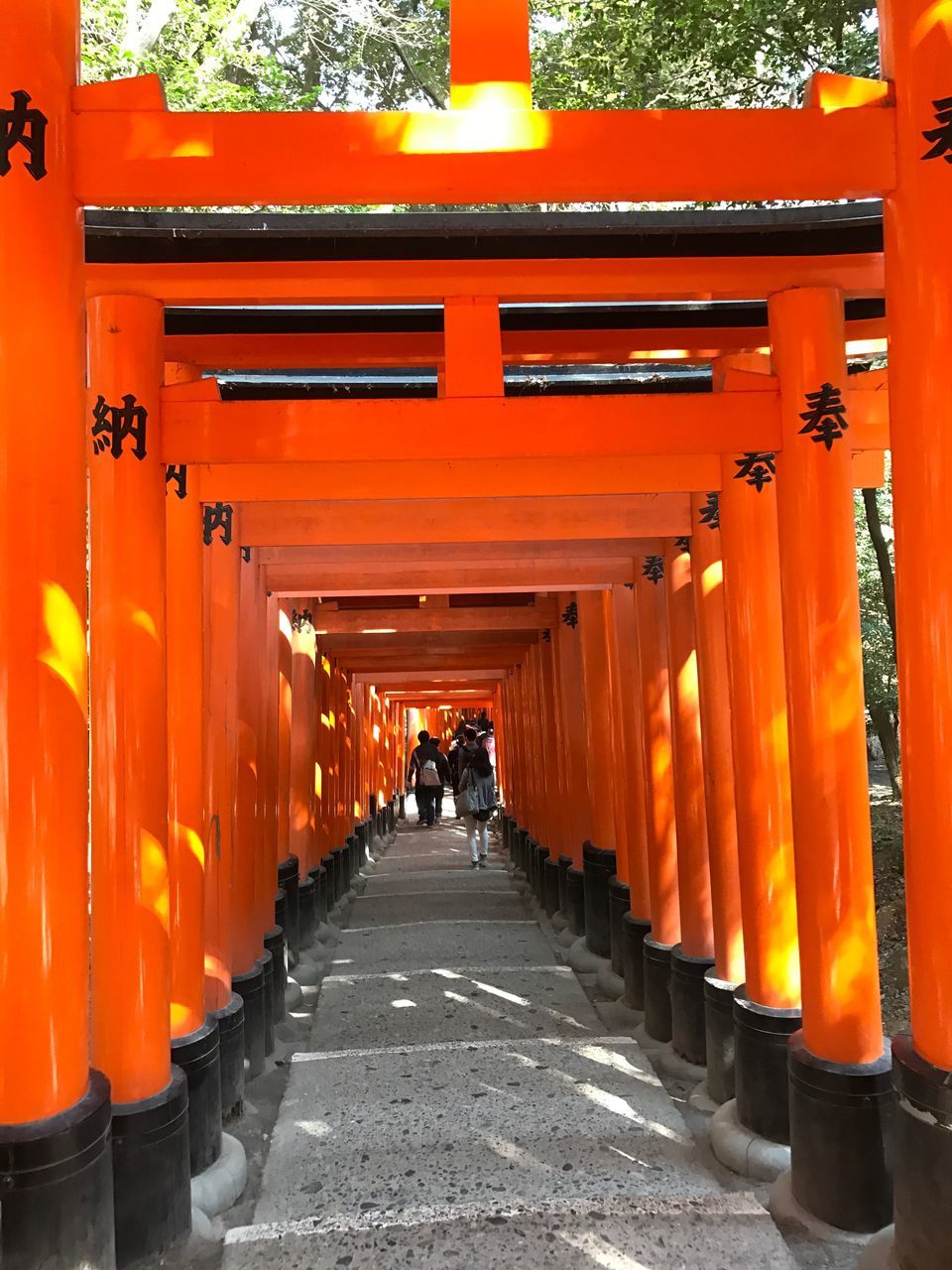 orange color, architecture, religion, travel destinations, built structure, travel, red, place of worship, the way forward, in a row, spirituality, tradition, rear view, men, real people, outdoors, day, cultures, adults only, people, adult