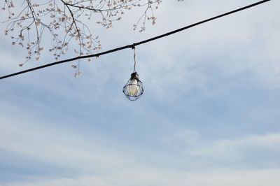 Low angle view of light bulbs hanging from ceiling