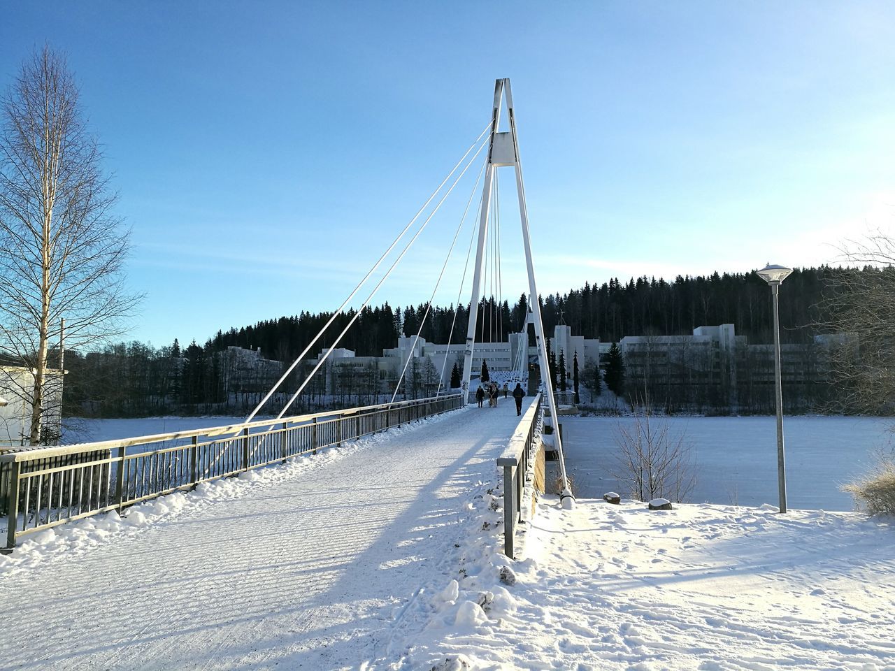 cold temperature, no people, snow, sky, tree, winter, nature, day, clear sky, outdoors, beauty in nature