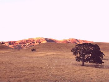 Scenic view of desert against clear sky