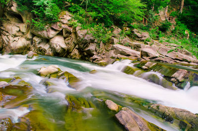 High angle view of river flowing in forest