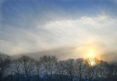 Low angle view of silhouette trees against sky during sunset