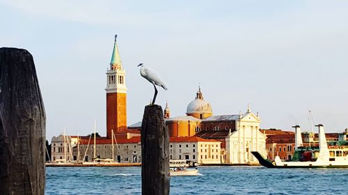 Bird perching on wooden post by church against sky