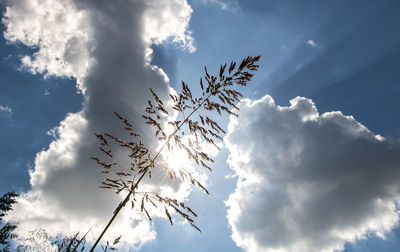 Low angle view of sky