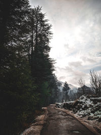 Road amidst trees against sky