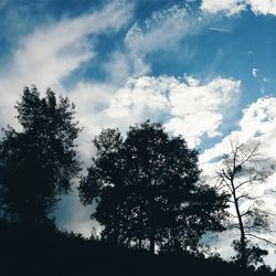 Low angle view of trees against sky