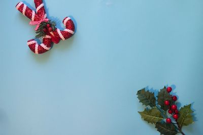 Close-up of red berries on plant against blue sky