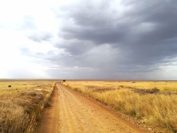 Dirt road along countryside landscape