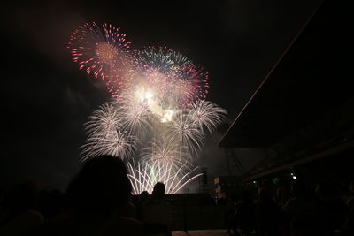 Low angle view of firework display at night