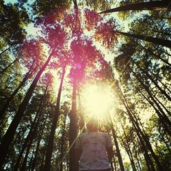 Low angle view of trees against sky