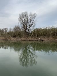 Reflection of bare trees in lake against sky