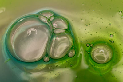 Close-up of water in container