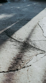 road surface