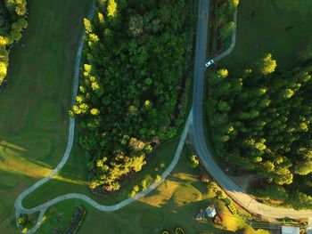 High angle view of trees along plants