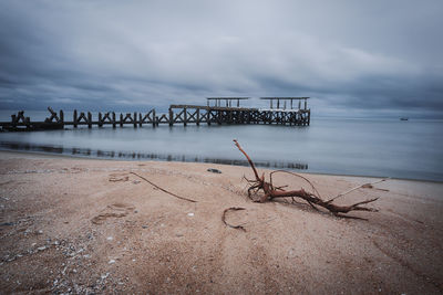 Driftwood on shore at beach against cloudy sky