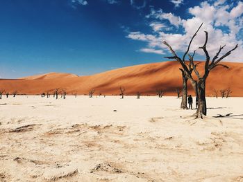 Scenic view of desert against sky