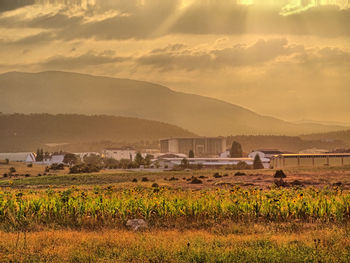 Scenic view of field against sky during sunset