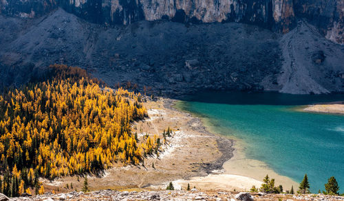Scenic view of sea against trees