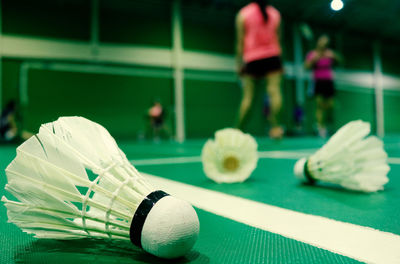 Close-up of shuttlecocks on sports court